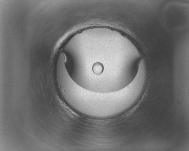 X0000076091502200610202052