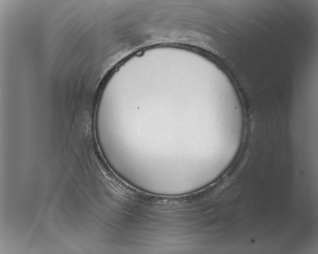 X0000076091505200610202052