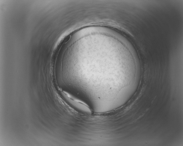 X0000076091506200610202053