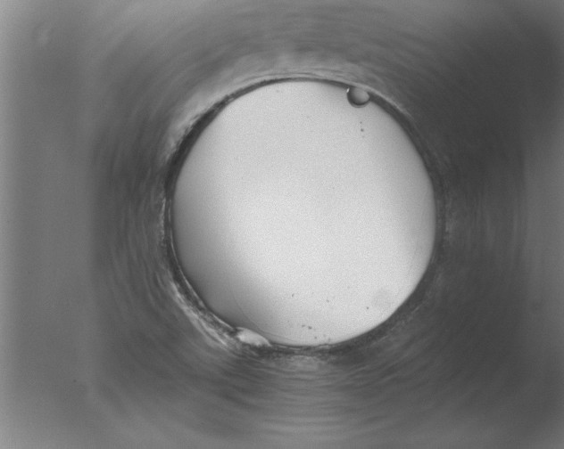 X0000076091507200610202053