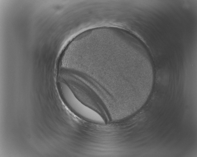 X0000076091508200610202053