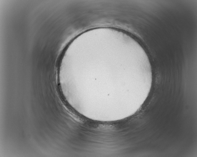 X0000076091509200610202053