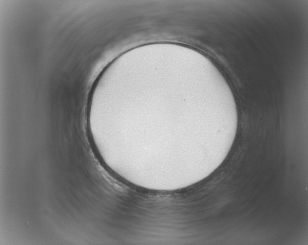 X0000076091512200610202053