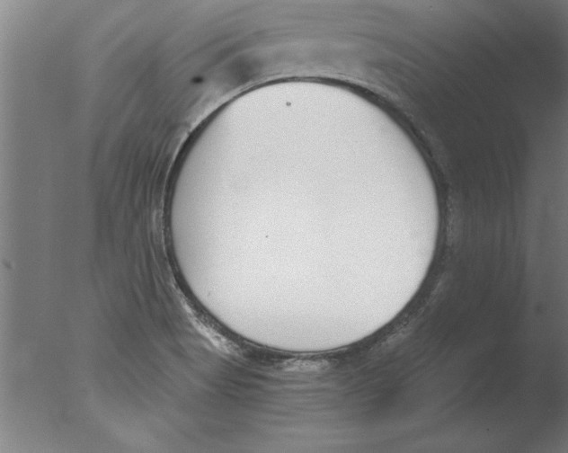 X0000076091513200610202053