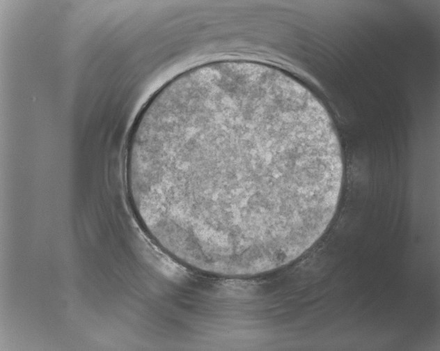 X0000076091514200610202053