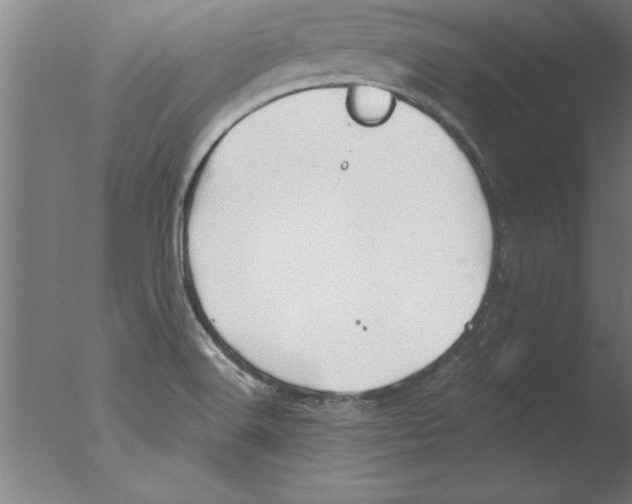 X0000076091516200610202053