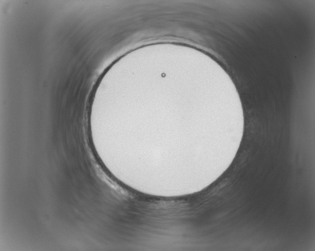 X0000076091518200610202053