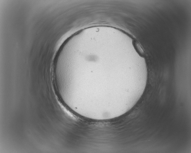 X0000076091519200610202053