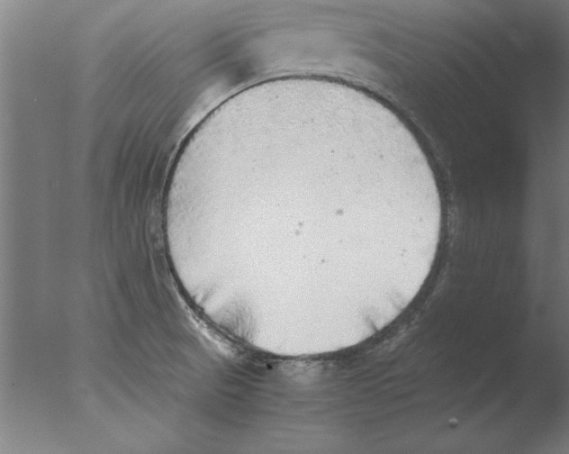 X0000076091521200610202053