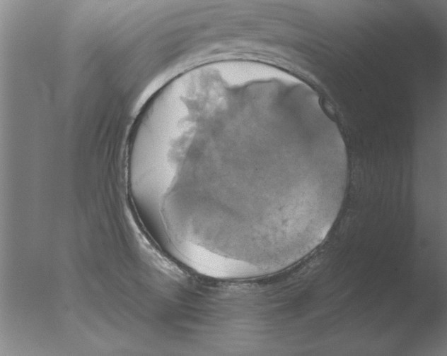 X0000076091522200610202053