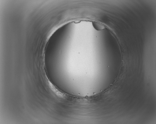 X0000076091524200610202053