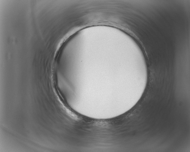 X0000076091525200610202053