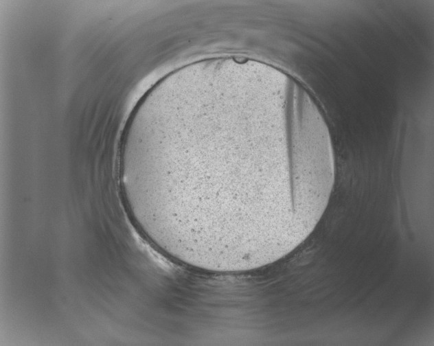 X0000076091527200610202053