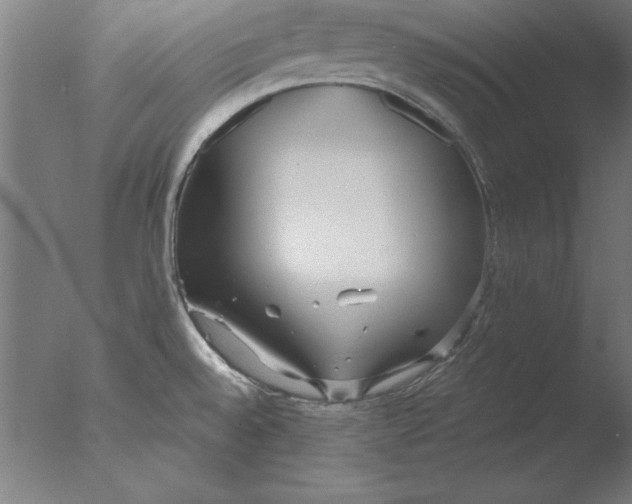 X0000076091528200610202053