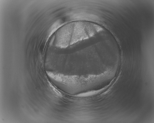 X0000076091529200610202053