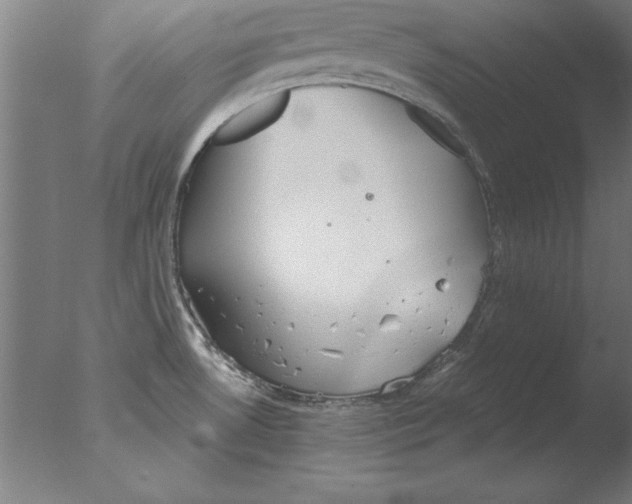 X0000076091530200610202053