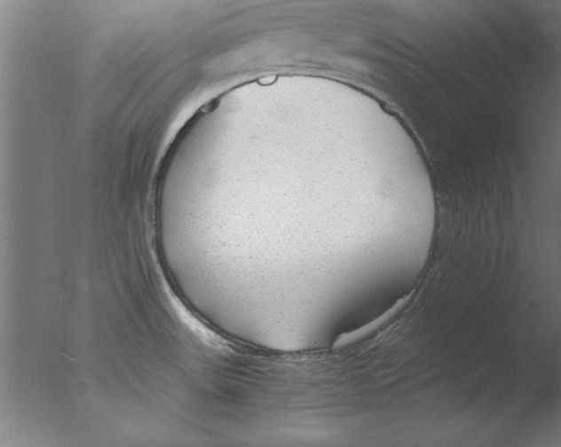 X0000076091531200610202053