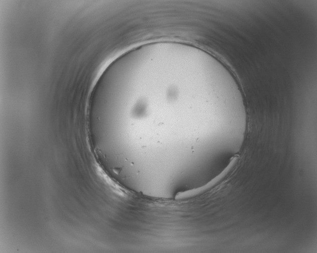 X0000076091532200610202053