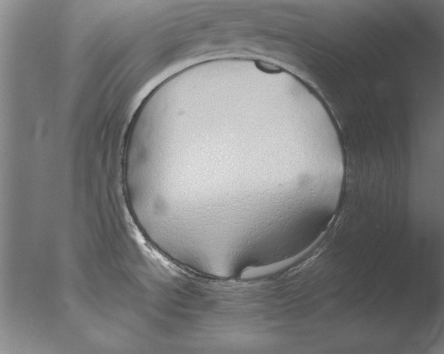 X0000076091534200610202053