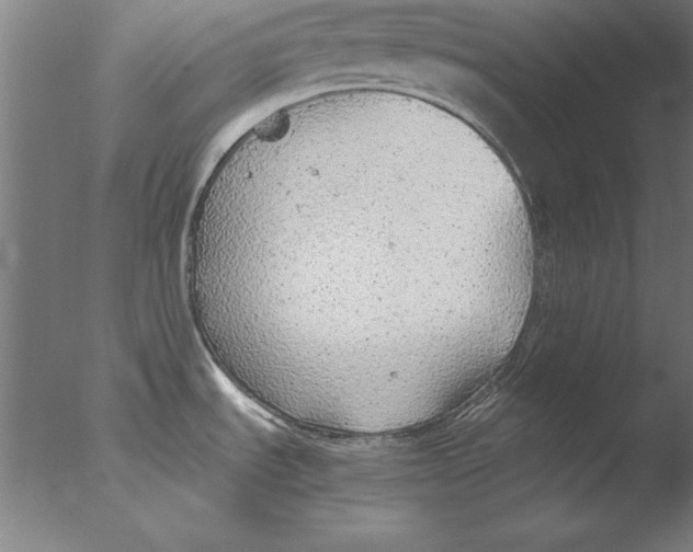 X0000076091535200610202053