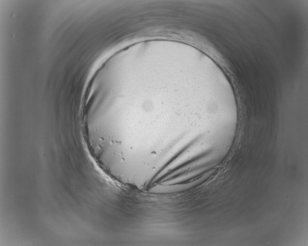 X0000076091536200610202053