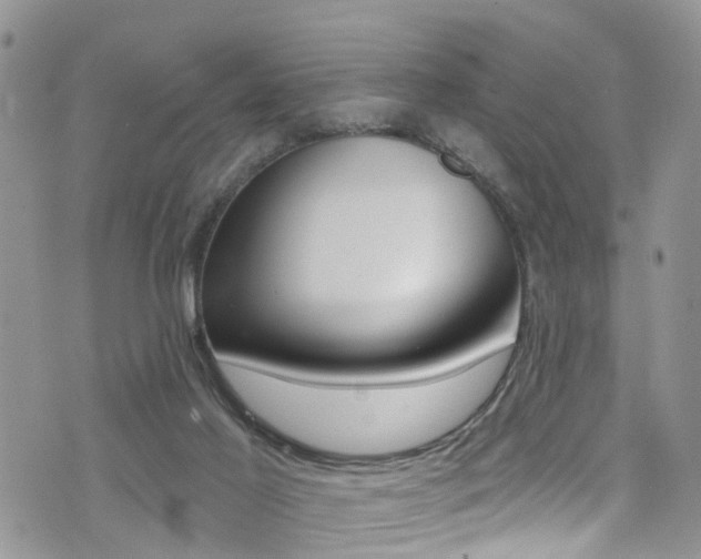 X0000076100021200609221040