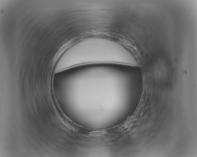 X0000076100051200609221039