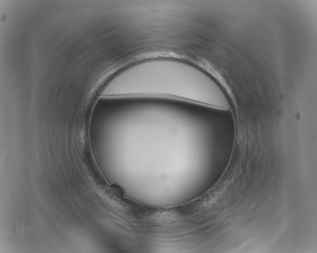 X0000076100063200609221039