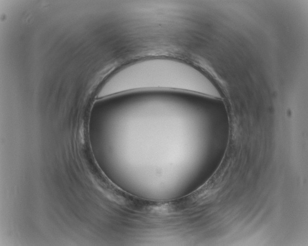 X0000076100068200609221039