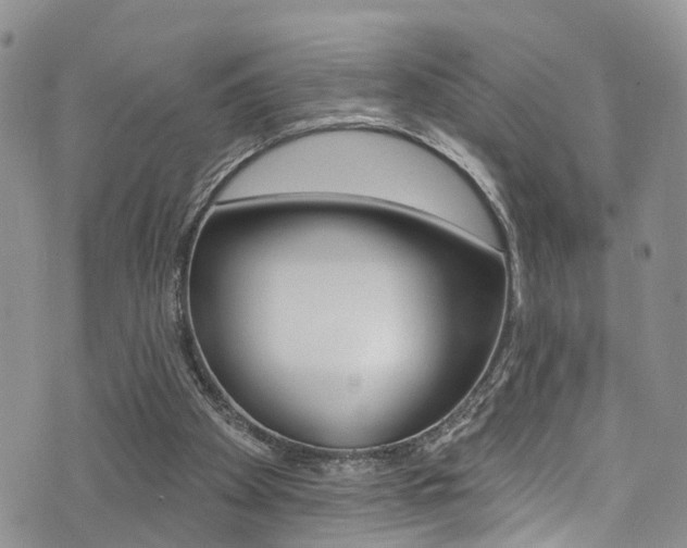X0000076100105200609221039