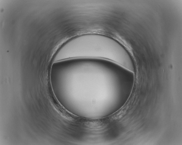 X0000076100107200609221039