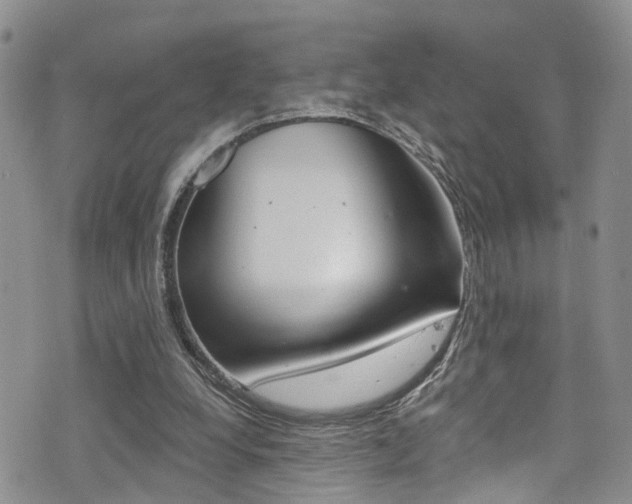 X0000076100248200609221036