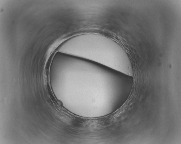 X0000076100294200609221036
