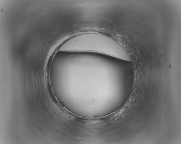 X0000076100342200609221034