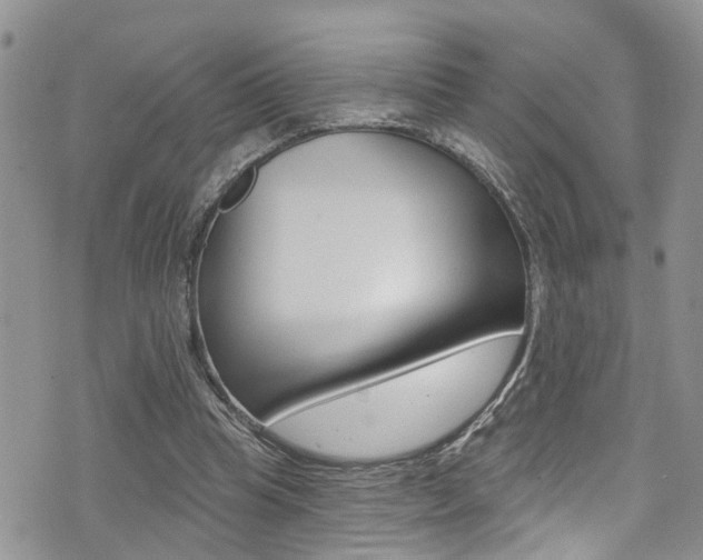 X0000076100345200609221034