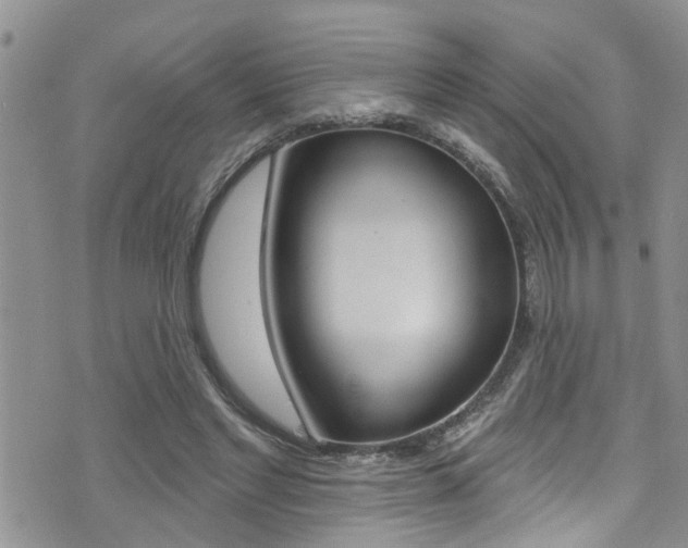 X0000076100493200609221032