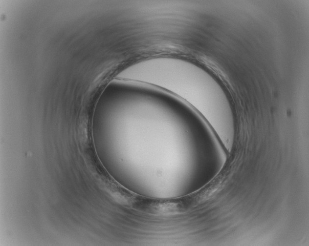 X0000076100501200609221032