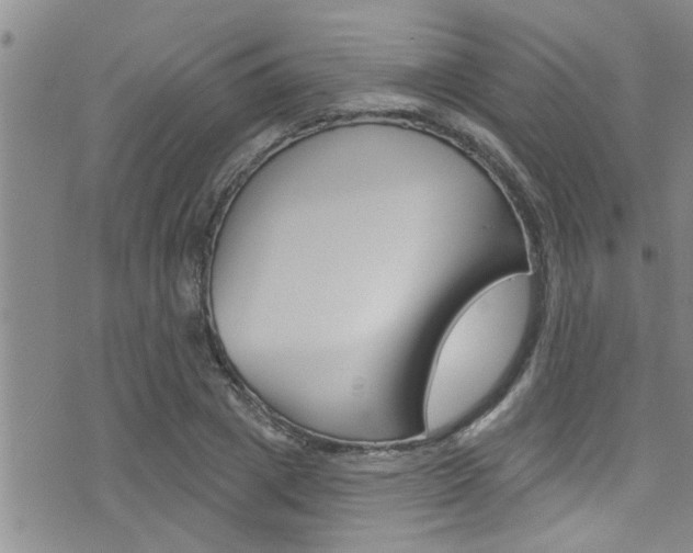 X0000076100833200609221026