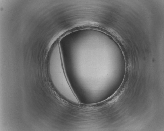 X0000076100877200609221026