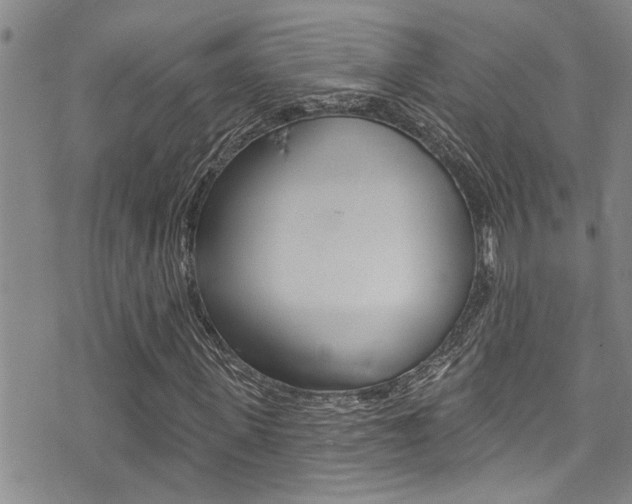 X0000076100915200609221025