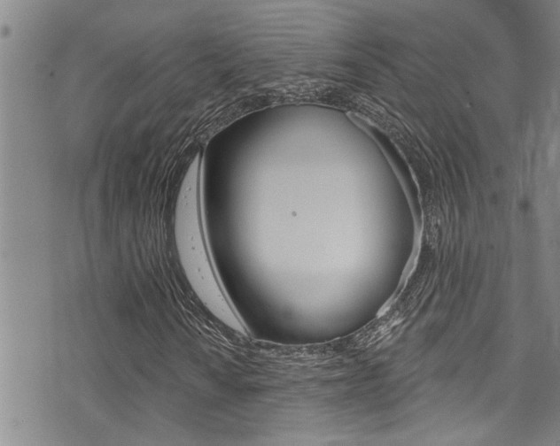 X0000076101010200609221023