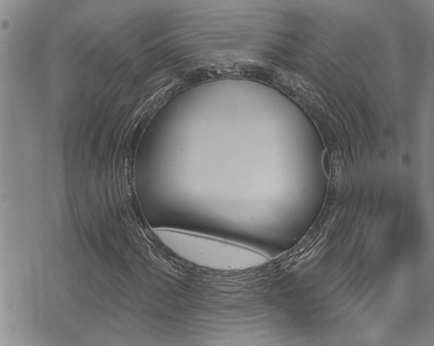 X0000076101060200609221023