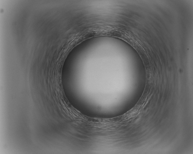 X0000076101153200609221021