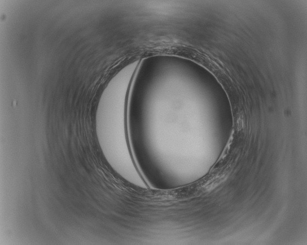 X0000076101156200609221021