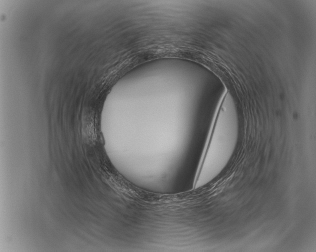 X0000076101250200609221020