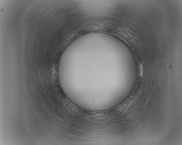 X0000076101395200609221017