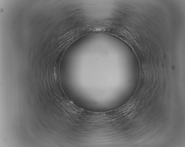X0000076101442200609221016
