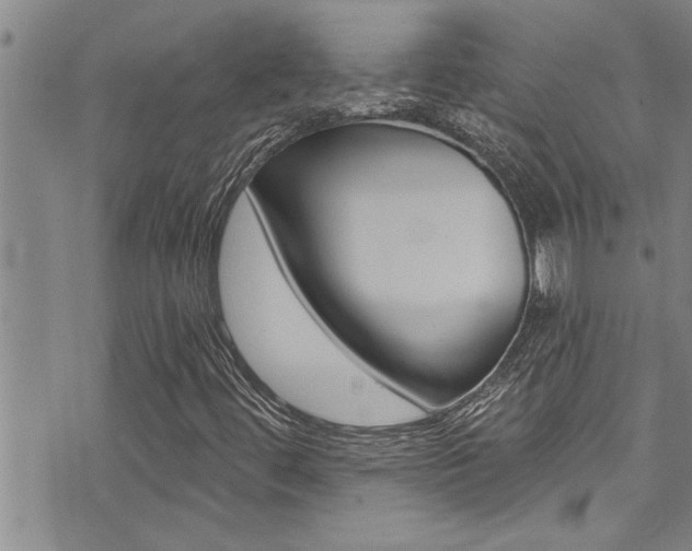 X0000076101444200609221016