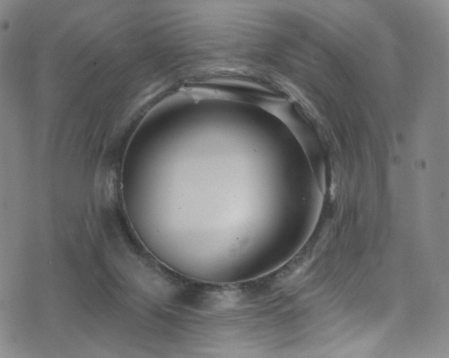 X0000076100071200609221233