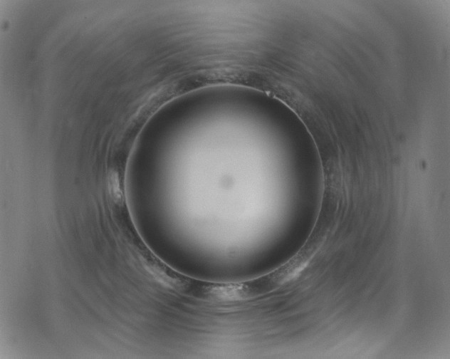 X0000076100089200609221234